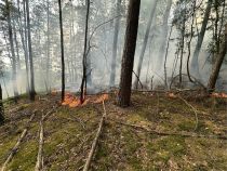 F WALD 1