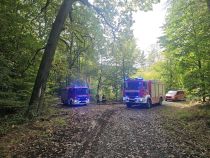 F WALD 1